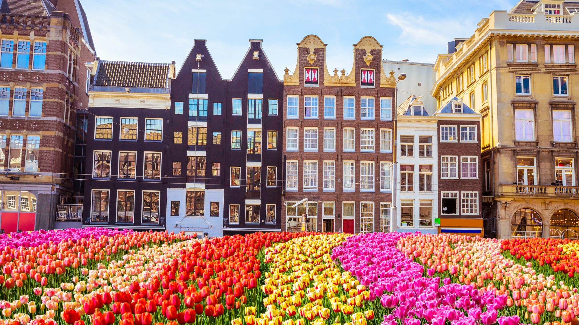 International Conference on Chemical Structures (ICCS)