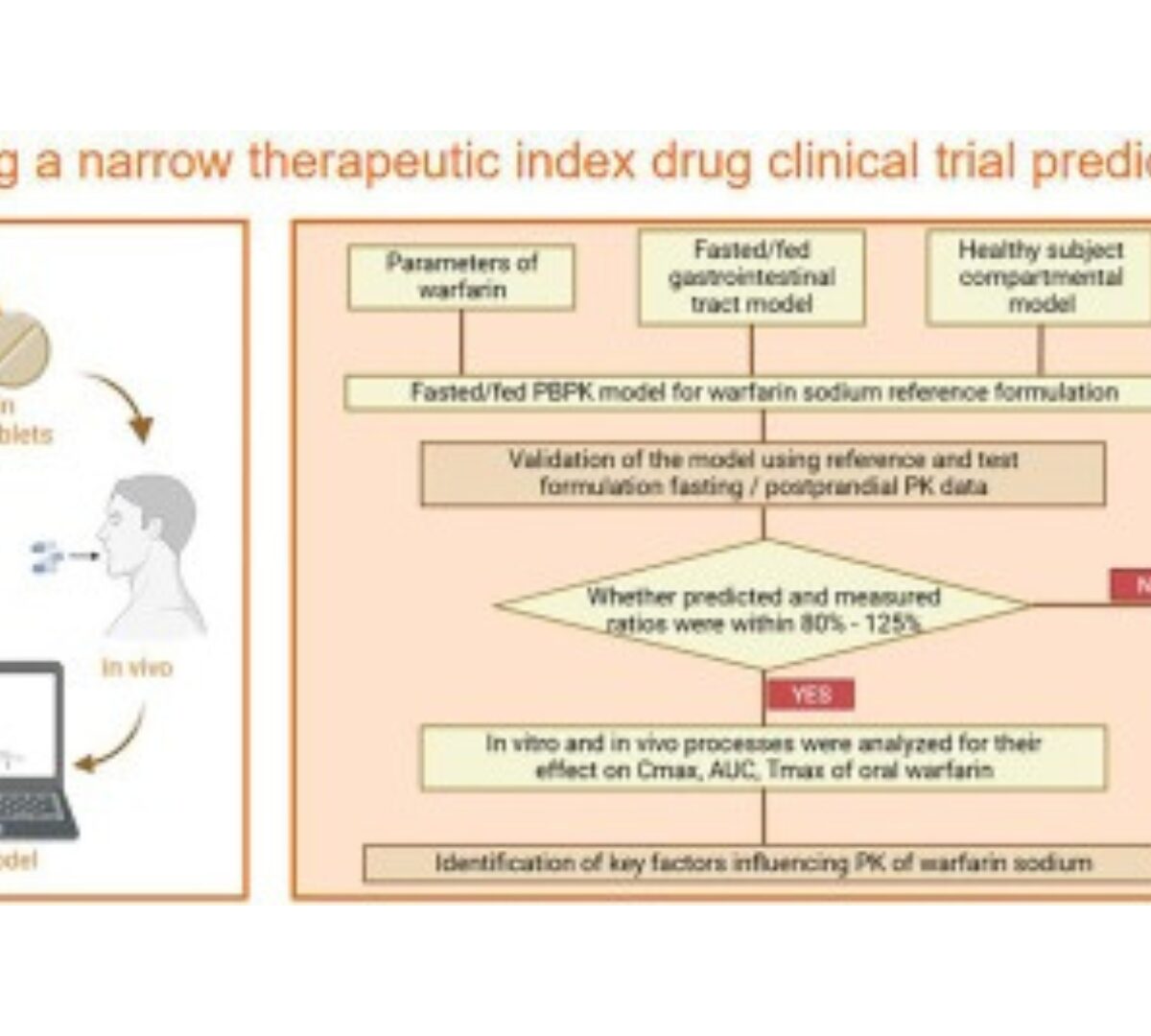 Predicting bioequivalence and developing dissolution bioequivalence safe space in vitro for warfarin using a Physiologically-Based pharmacokinetic absorption model