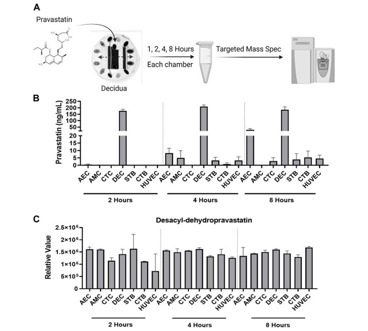 Microfluidic technology and simulation models in studying pharmacokinetics during pregnancy