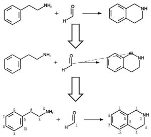 Illustration of reaction mapping tool 