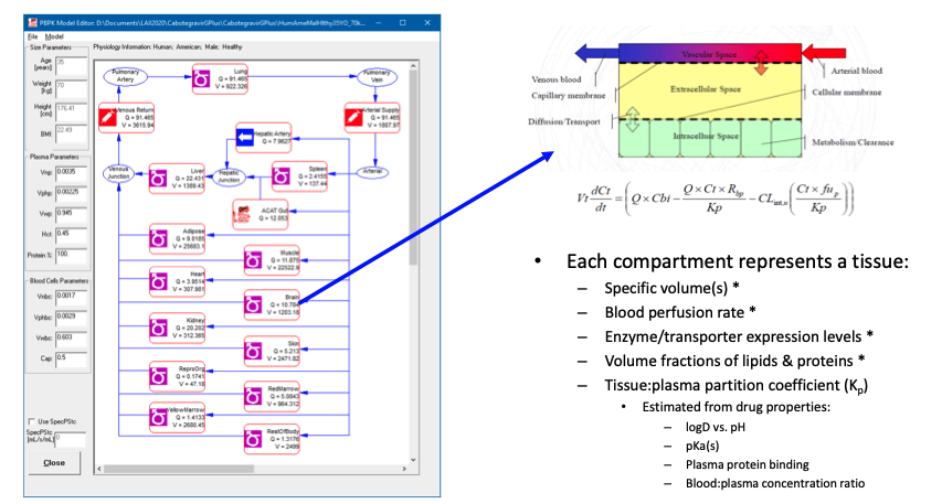 Patient-Centric Design of Long-Acting Injectable Drug Products