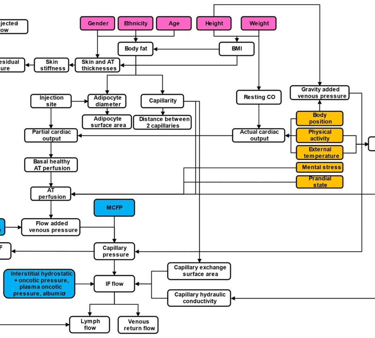 SubQ-Sim: A Subcutaneous Physiologically Based Biopharmaceutics Model. Part 1: The Injection and System Parameters