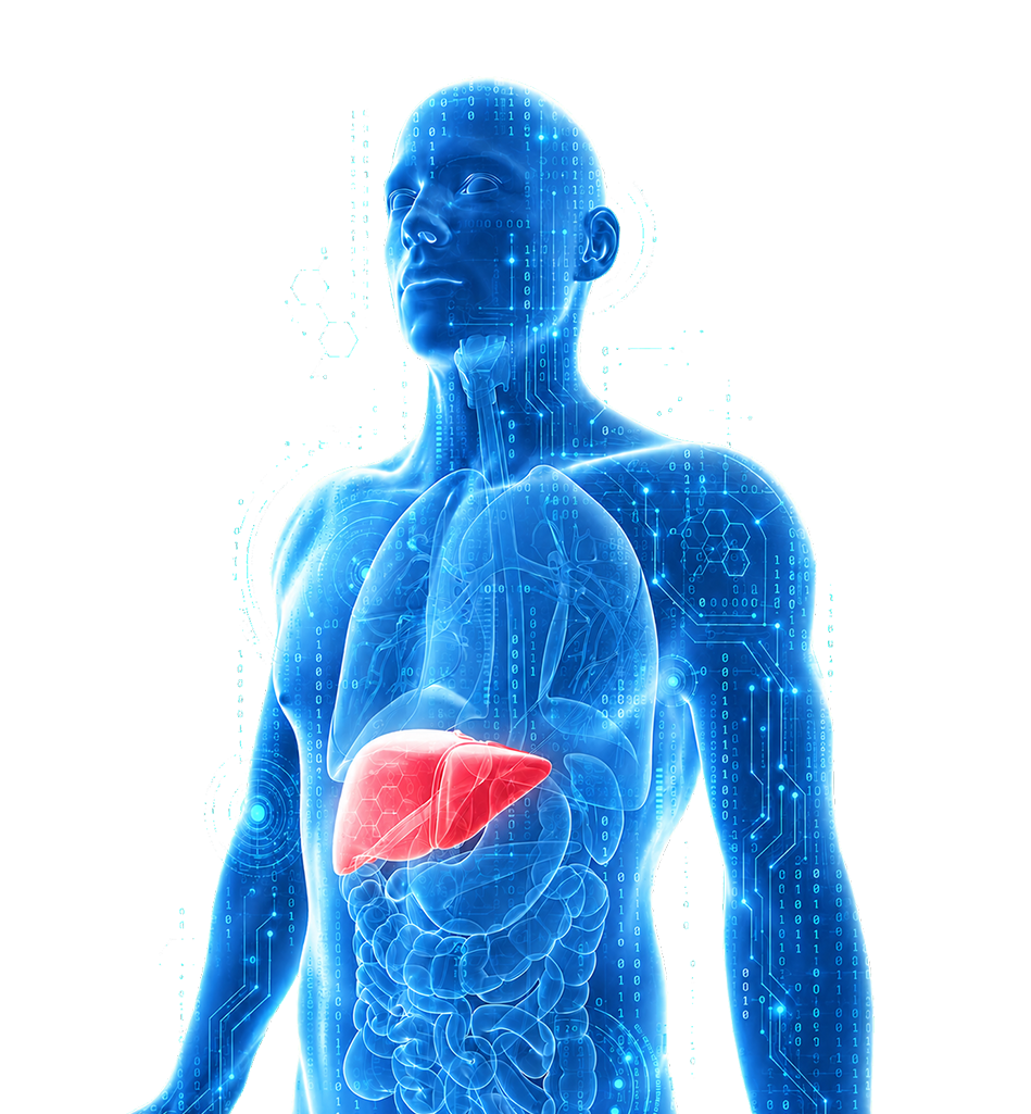 The Venn diagram on DILI risks integrates GastroPlus, PKPlus & KIWI insights and data