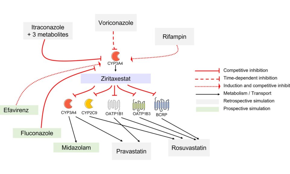 Drug–drug interaction prediction of ziritaxestat using a physiologically based enzyme and transporter pharmacokinetic network interaction model