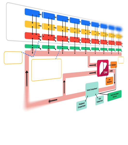 A DILIsym abstract diagram illustrates drug metabolism & PK pathways, featuring the liver & stages.