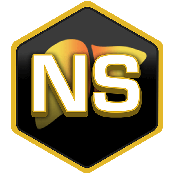 A hexagonal logo on black with "NS" in bold white/yellow, featuring abstract shapes in shades.